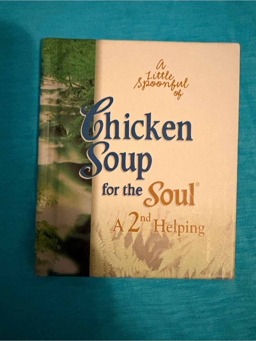 Chicken soup for the soul ( a second helping) hardback